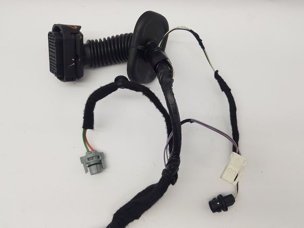 Door Wiring System Right Front Clio 3 241257744R Renault