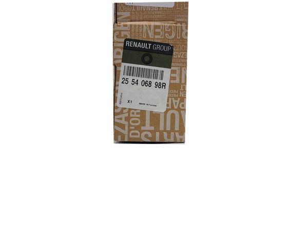 Light Control  Duster 255406898R Renault