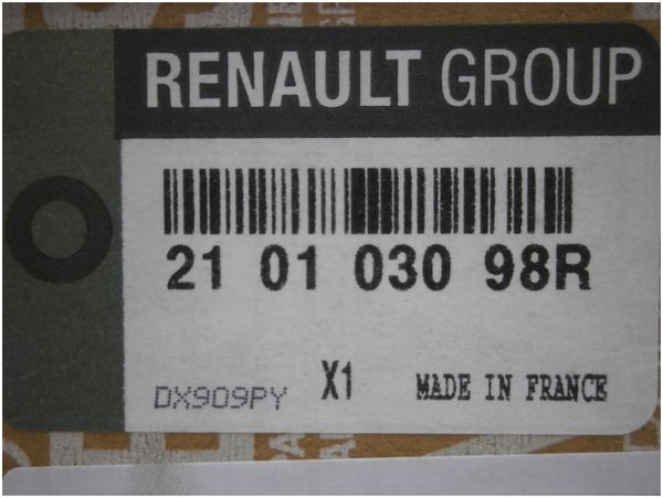Water Pump Original Renault Trafic Master III Espace IV 2.0DCI 210103098R