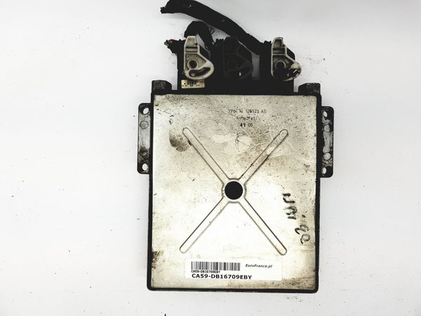 Controller 9663289080 9661256980 Fiat PSA Visteon